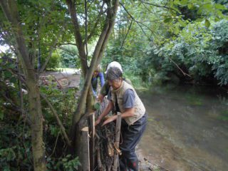 volunteers putting faggot bundles between stakes in River Stour