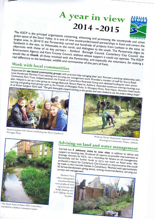 2014/15 review leaflet