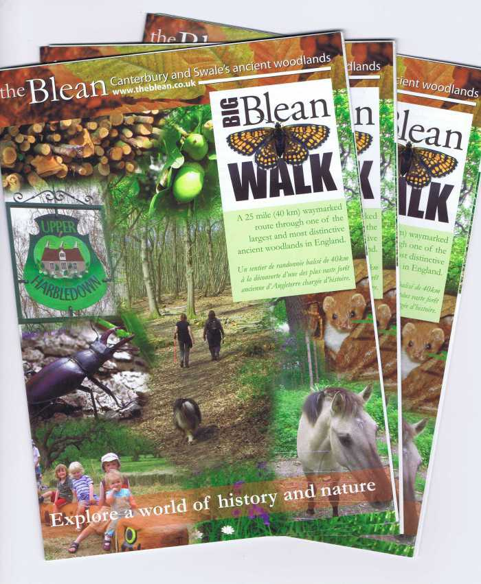 fronty covers Big Blean Walk leaflets