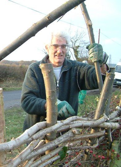 volunteer Richard laying a hedge