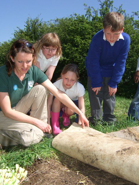 Checking under mats for reptiles