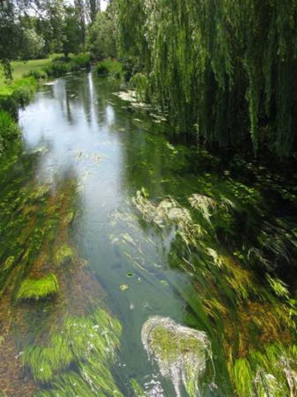 River stour upstream from Godmersham bridge