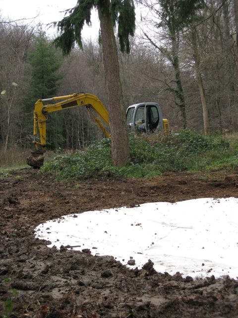 King's Wood Pond Digging