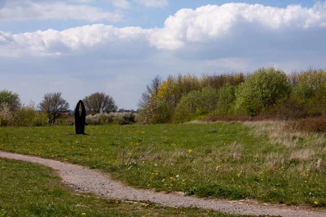 Meadow in Ashford Green Corridor