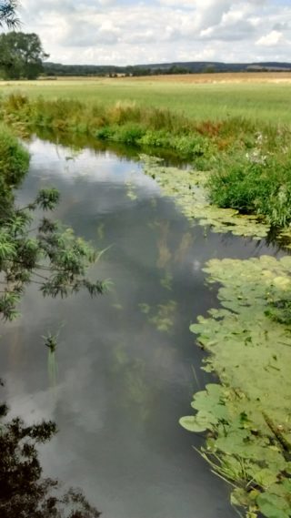 Background Information on the River Stour Kentish Stour