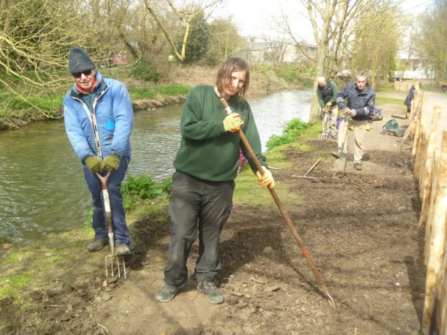 Annie Thurgarland and volunteers preparing soil for sowing and planting of grass