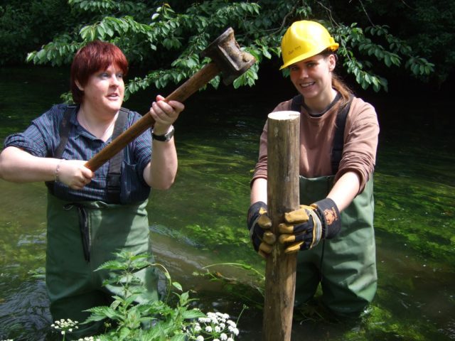 Volunteers putting in post in river