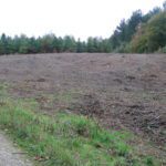 New glade created at Covert Wood, shows bare ground