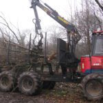 Clearing of trees by road by machine to create more light for biodiversity Denge wood