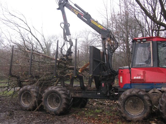 Clearing of trees by road by machine to create more light for biodiversity Denge wood