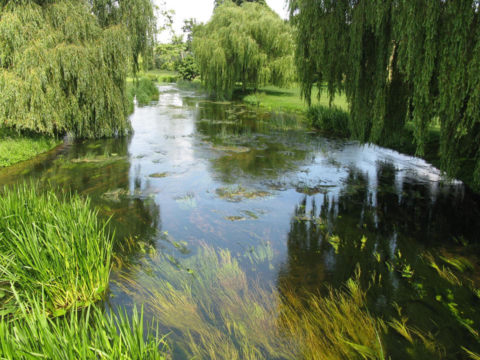 river scene at Godmershap with weeping willows