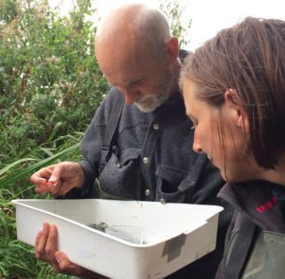 kscp staff examining invertebrate samples
