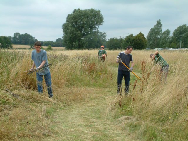 volunteers cutting a hay meadow