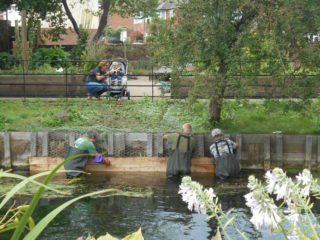 3 volunteers in river fixing wire to river bank planters in River Stour