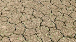 close up dried banks of Weir Reservoir 2005