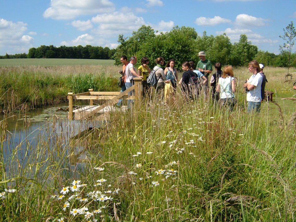 party ofr frenchvolunteers by a dipping platform