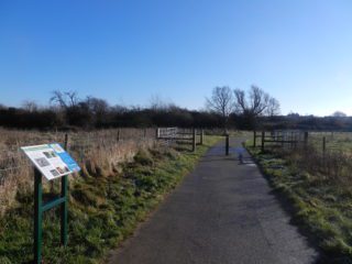 South Willesborough cycle path on bright cold winters day