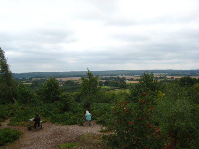 people enjoying view at The Mount