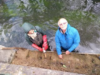 2 volunteers planting wetland plants