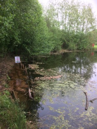 Bank revetment work Little Burton