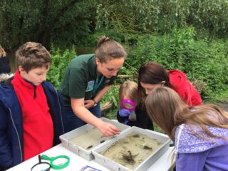 riverfly monitoring - ID work