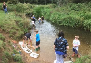Our Stour AquaLab river dipping session