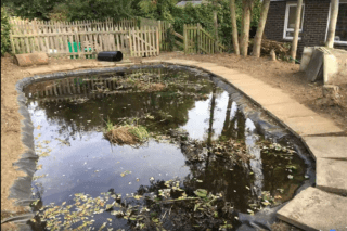 Smeeth School pond