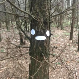 Tree with shapes to create a face