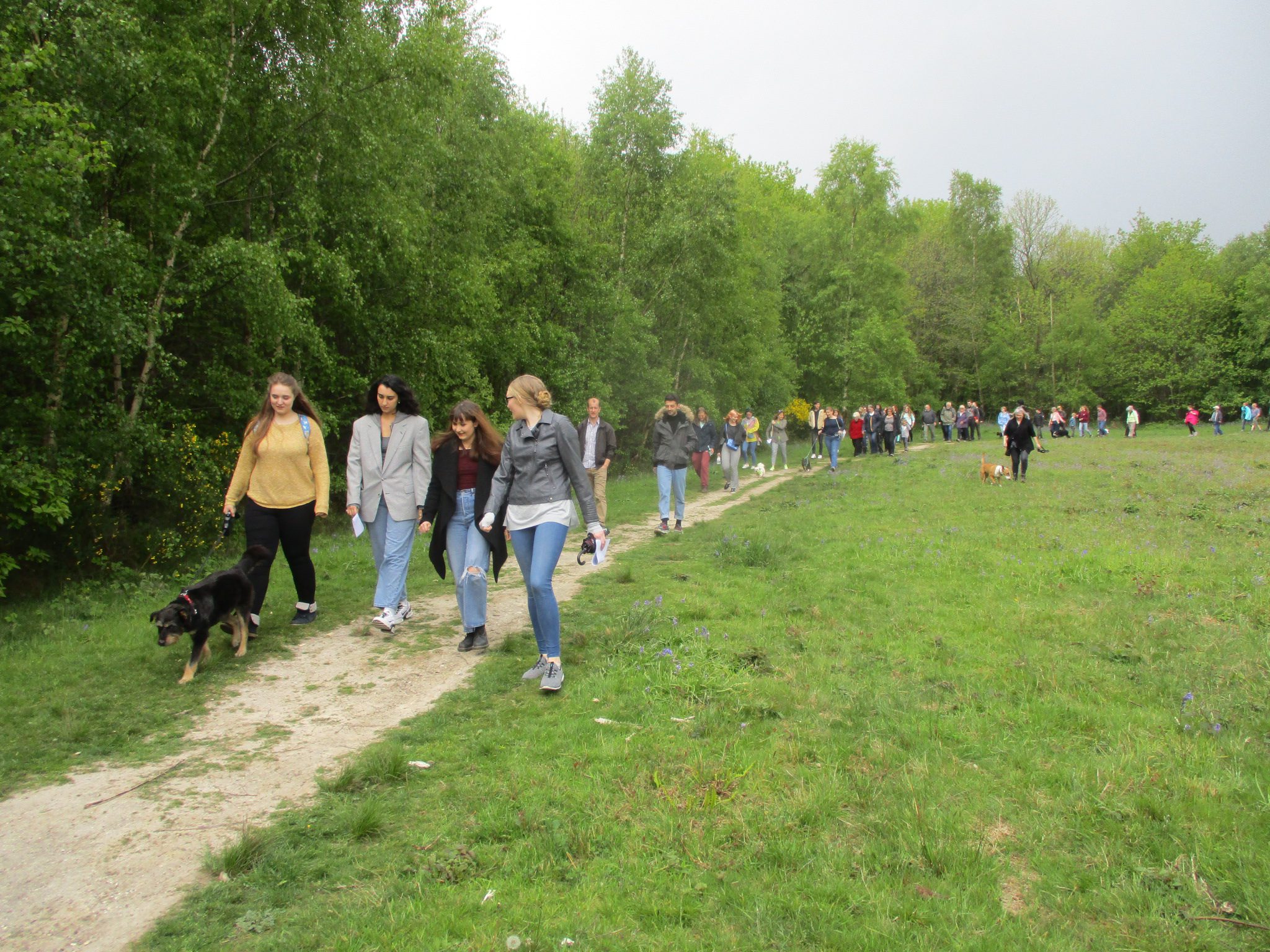Audience for Suspensions begin their walk round King's Wood
