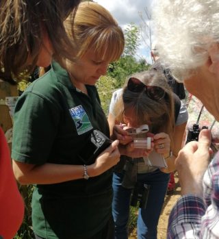 people examining small invertebrates with magnifier glassses.