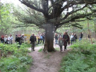 people looking at suspended artwork in woodland