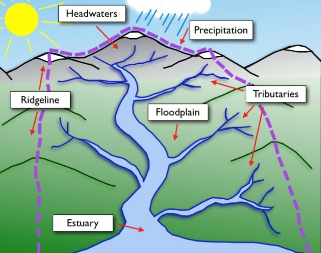 A diagram of a river catchment showing how tributaries flow into a main river that flows out to sea at an estuary