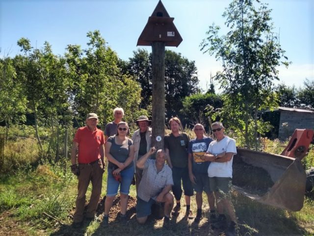 Volunteers standing under a newly erected barn owl box on a pole