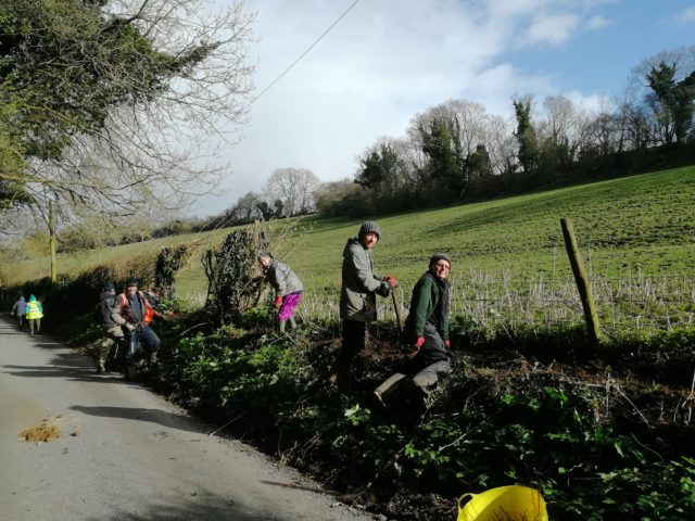 Kentish Stour Volunteers hedge planting to Slow The Flow of water through the landscape