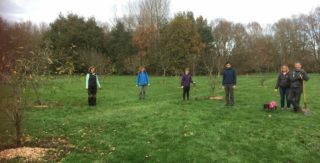 Volunteer group in meadow