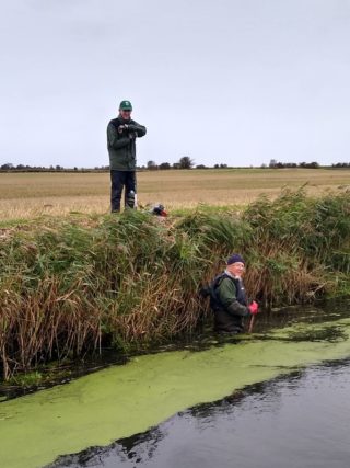 Volunteer in water course