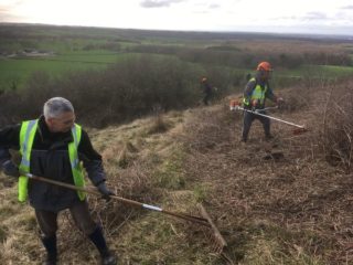 Volunteers working on hillside