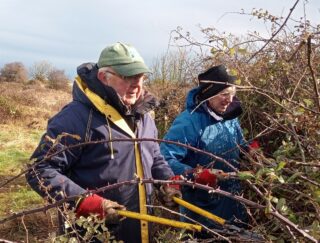 volunteers cutting bramble