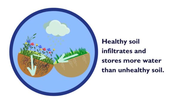 Diagram showing how healthy soil allows more water to infiltrate than unhealthy soil