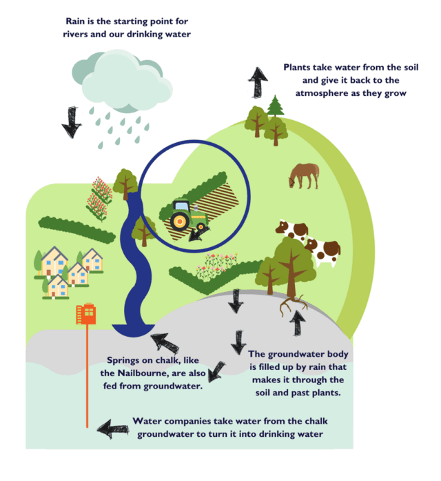 The water cycle,