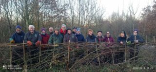 volunteer group and laid hedge