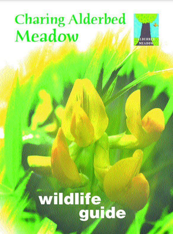 cover of Charing Alderbed Meadow booklet