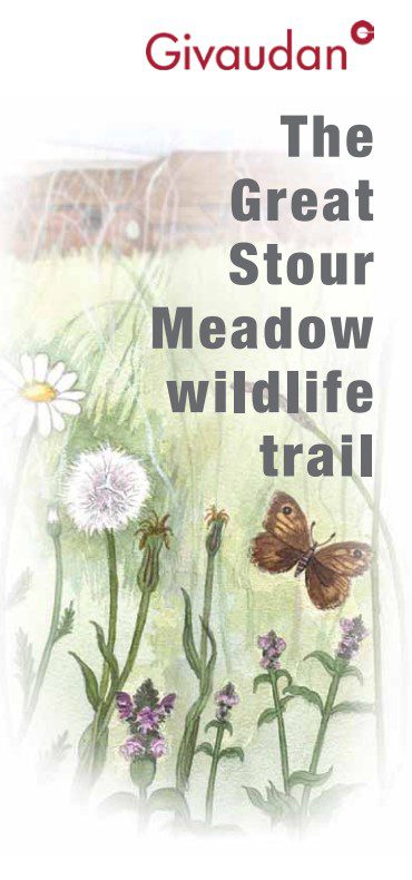 Cover of the Great Stour Meadow Wildlife Trail leaflet