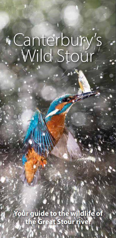 Cover of Canterbury's Wild Stour leaflet