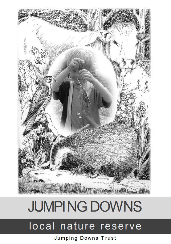 Cover of Jumping Downs leaflet