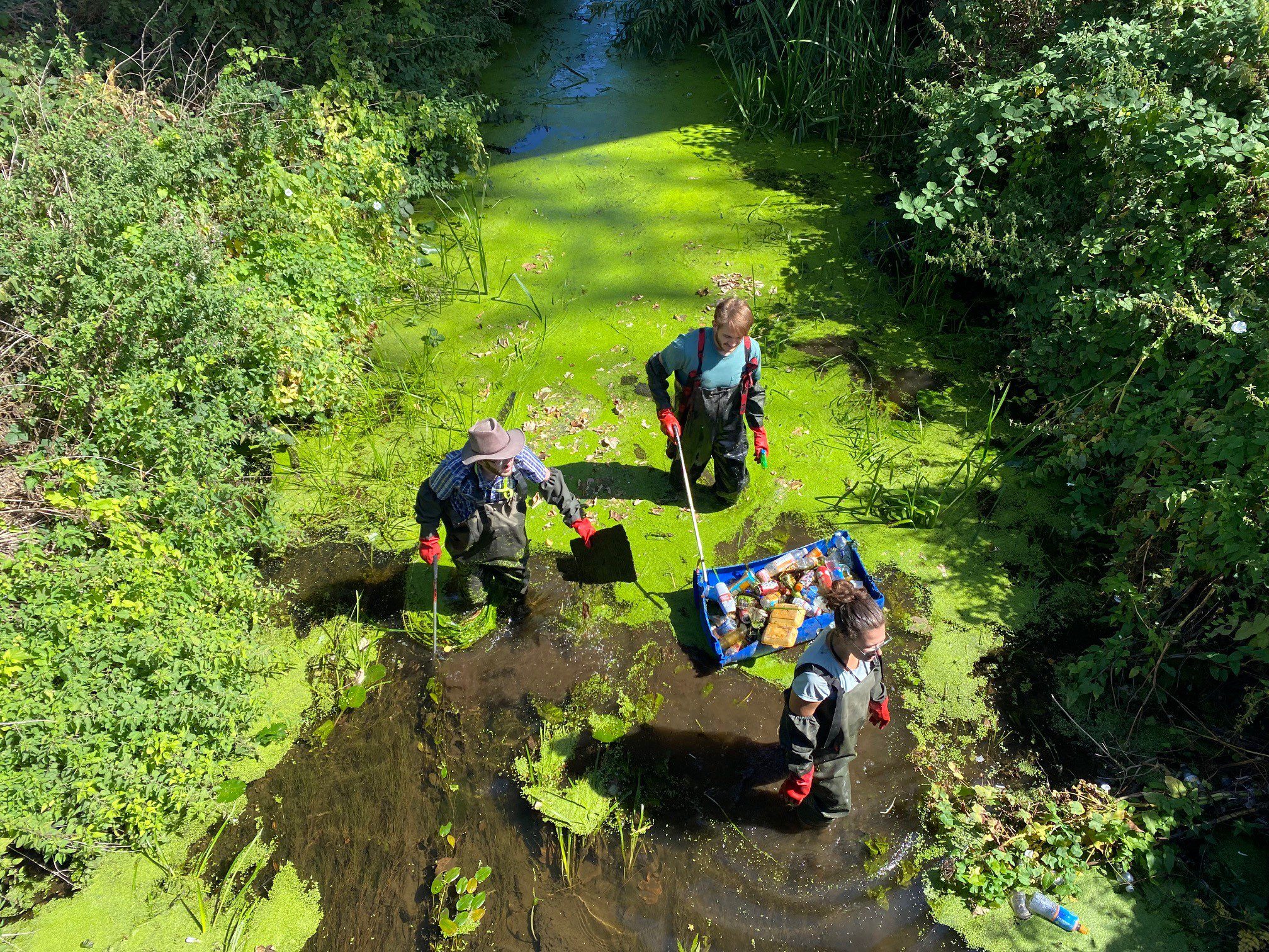 Volunteers litter picking in a river