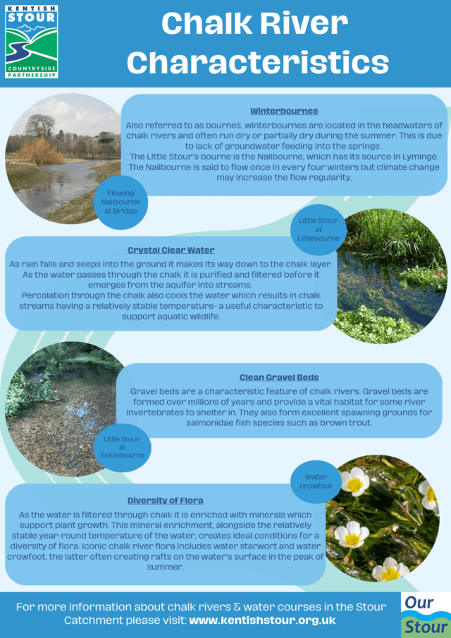 A poster about chalk stream characteristics