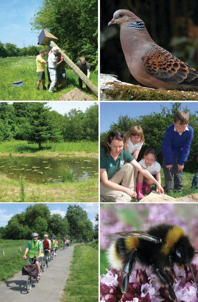 Images representing activities in Stour Valley Restore