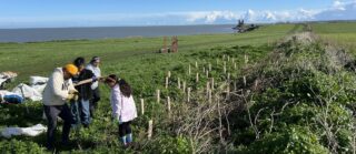 volunteers tree planting
