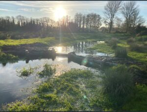 Broad Dyke Large Woody Dams